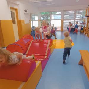 telovadnica-zmajcica\telovadnica_original